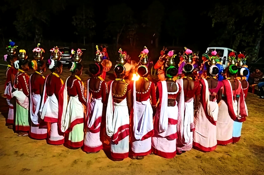 Palashgram Eco Resort Purulia