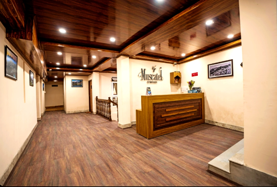 Hotel Muscatel Stardust Darjeeling