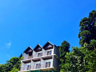 The Emili Schenkl House