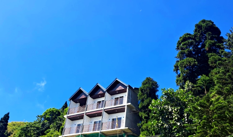 The Emili Schenkl House