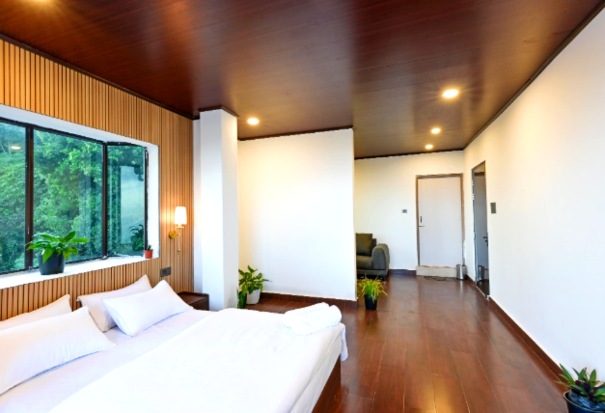 The Emili Schenkl House