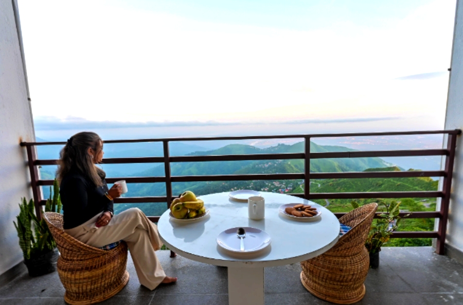 The Emili Schenkl House