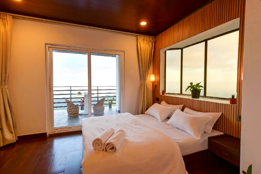 The Emili Schenkl House